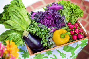 Naturheilpraxis für Ernährungsberatung in Bochum Wattenscheid - Gesunde Ernährung Bochum