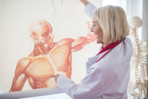 Osteopathie Gronau - Veranschaulichungen von Heike Maurath Osteopathie Gronau bei Heilpraktikerin Heike Maurath