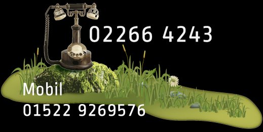 Kostenlose telefonische Erstberatung zu neuer Website.